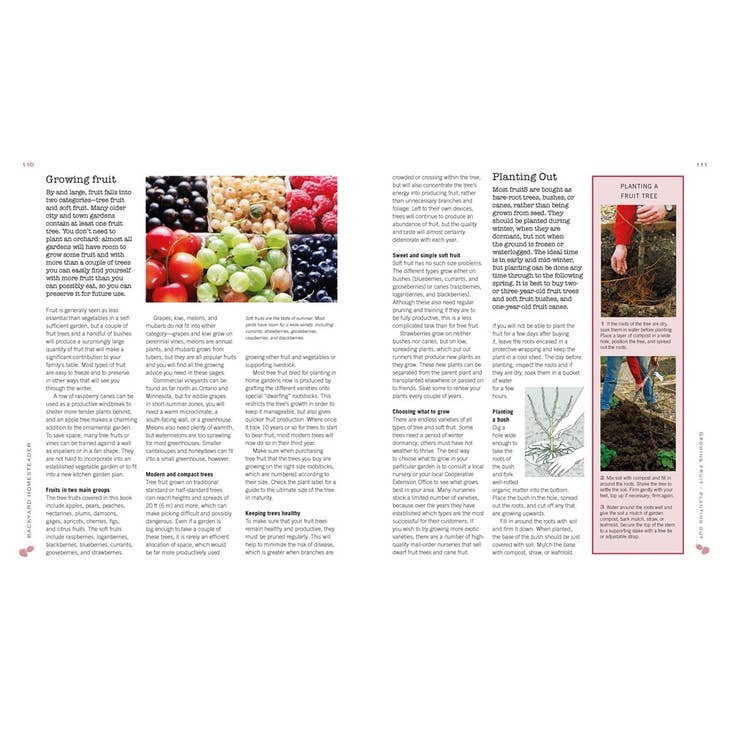 The Backyard Homesteader: How to Save Water, Keep Bees, Eat From Your Garden, and Live a More Sustainable Life