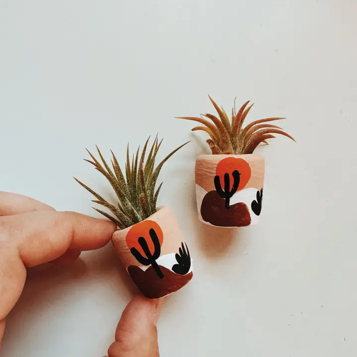 Joshua Tree Mini Planter and Air Plant