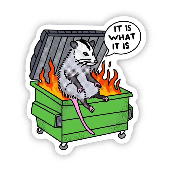 It Is What It Is Possum Dumpster Fire Vinyl Sticker