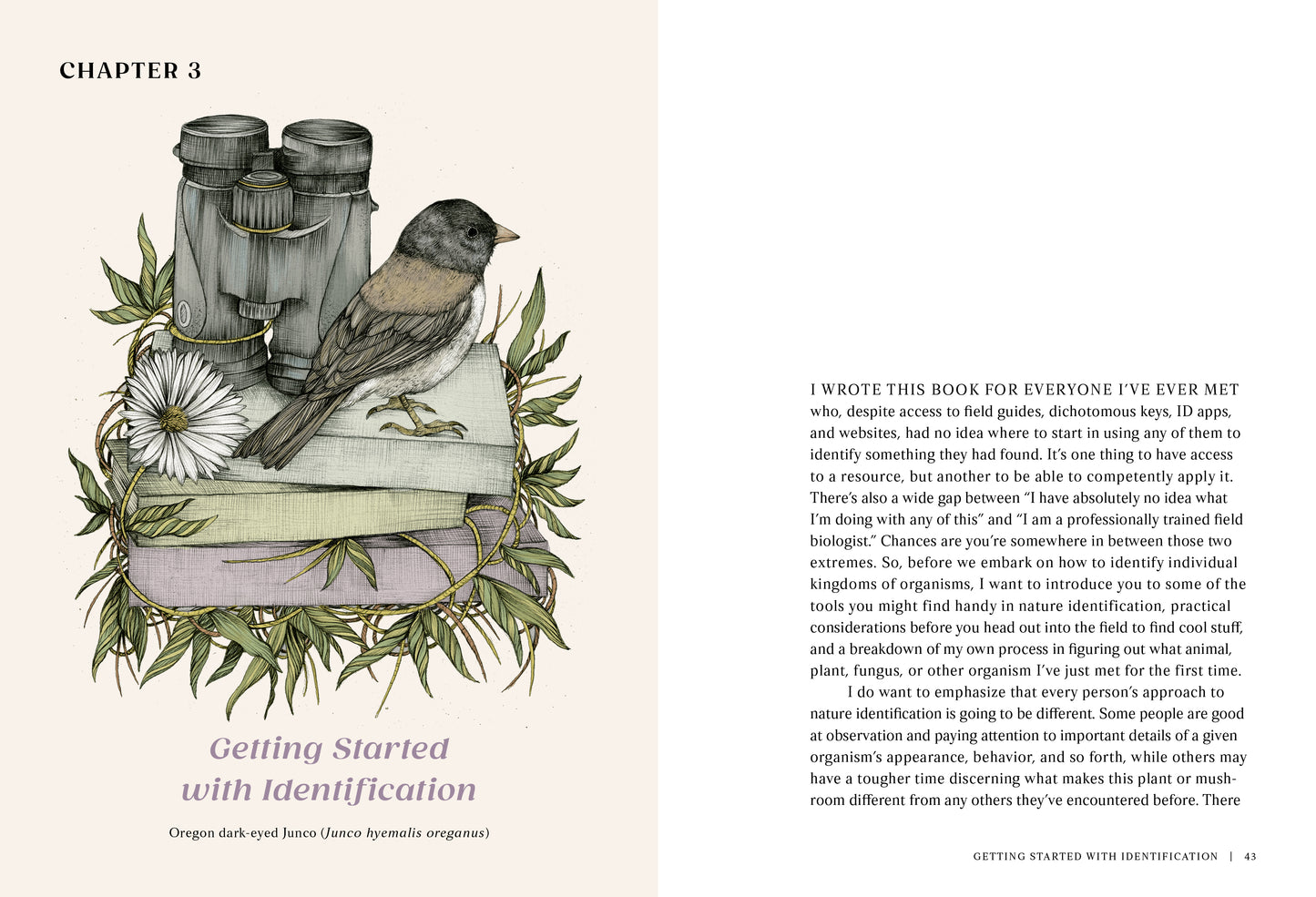 The Everyday Naturalist