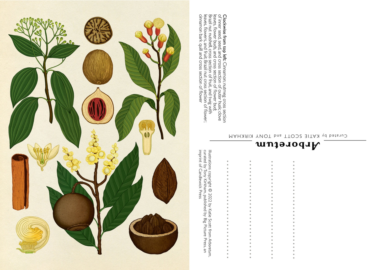 Arboretum Postcard Set