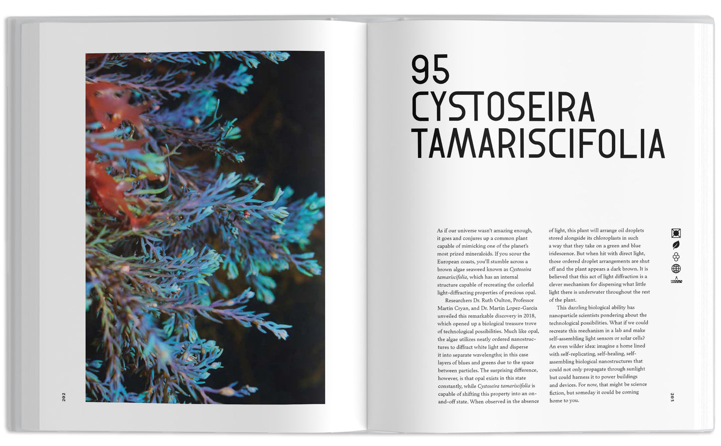 The Universe in 100 Colors