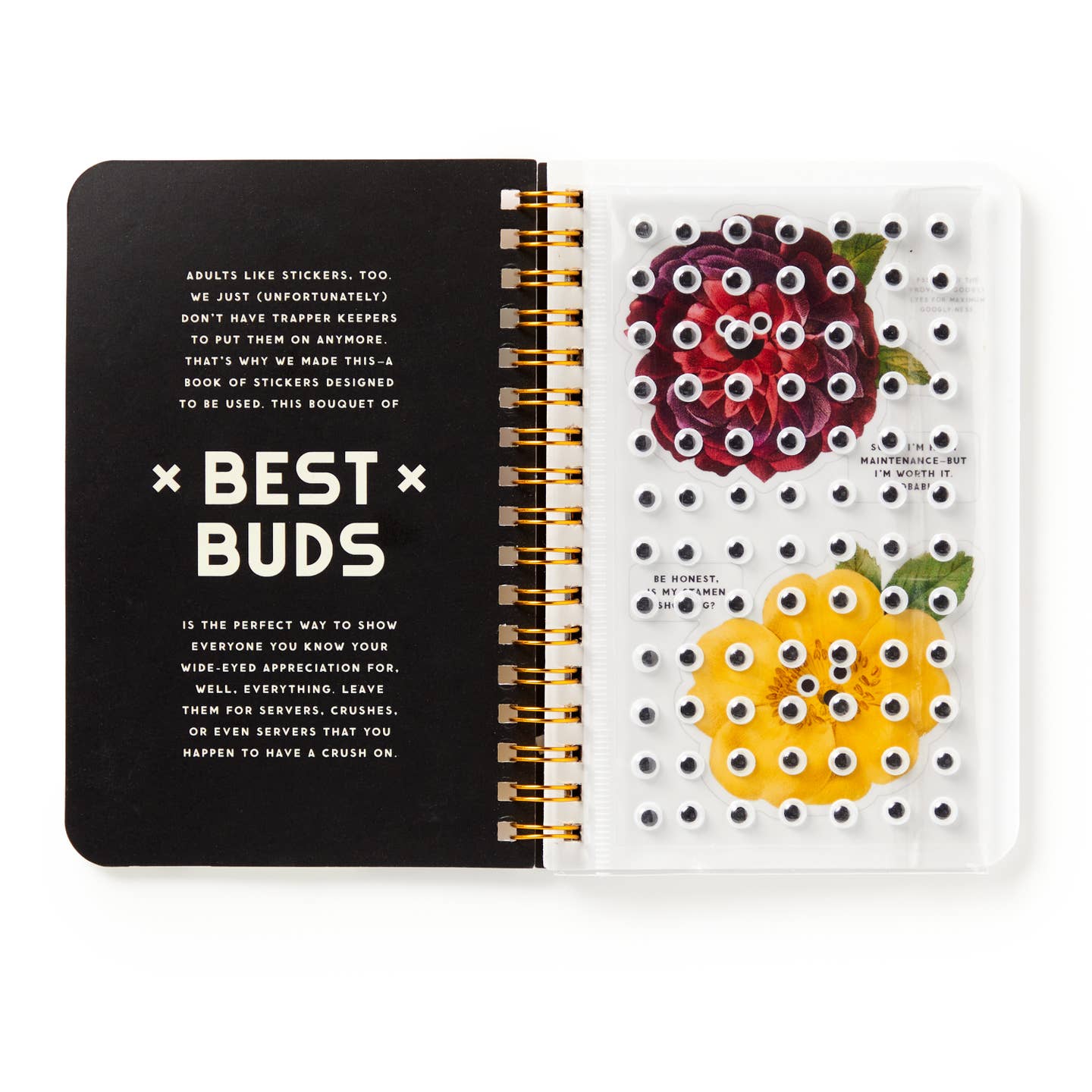 Best Buds Googly Eyes Sticker Book