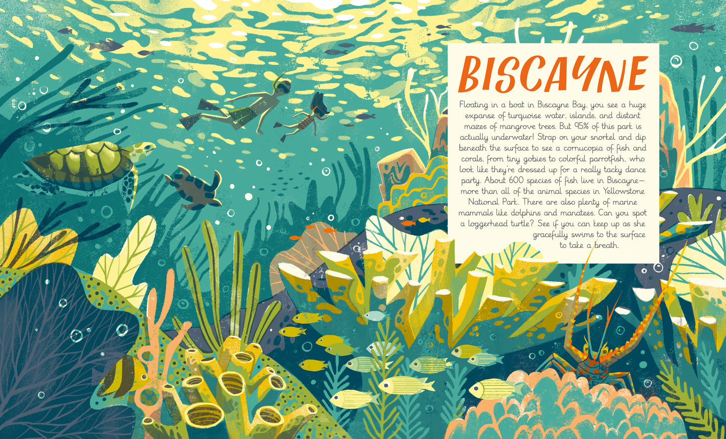 National Parks of the U.S.A.