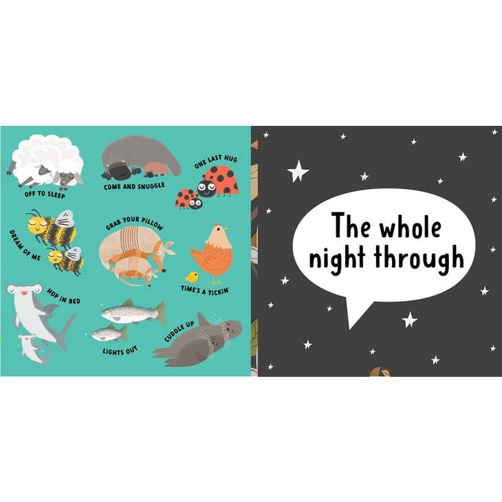 Grab Your Pillow, Armadillo Lift the Flap Book