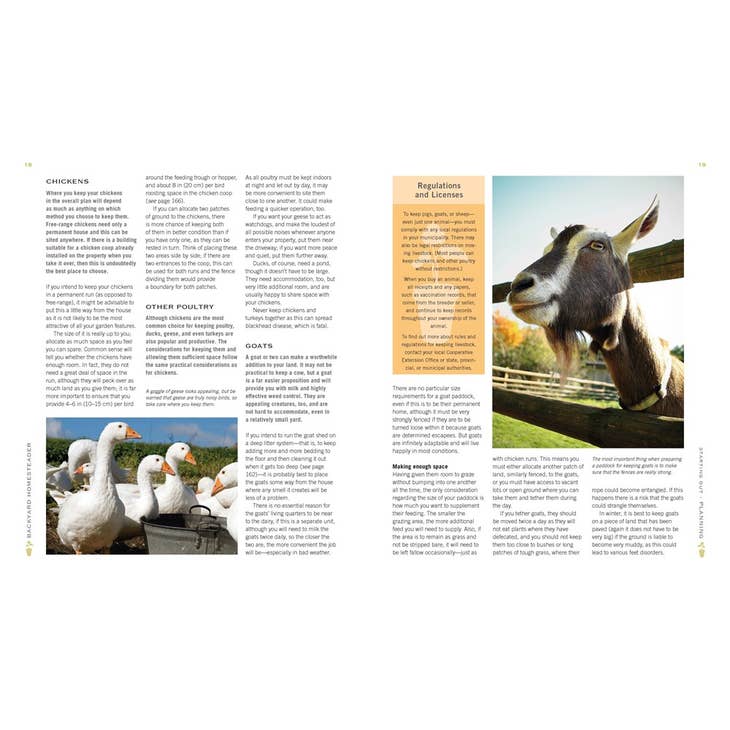 The Backyard Homesteader: How to Save Water, Keep Bees, Eat From Your Garden, and Live a More Sustainable Life