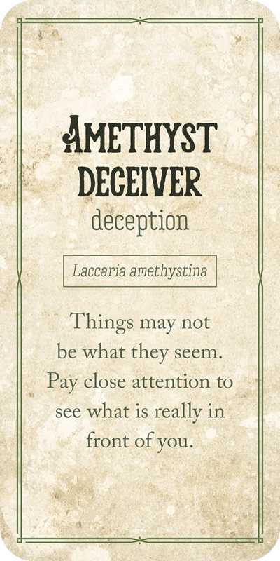 Mushroom Affirmations