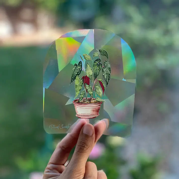 Begonia Rainbow Maker Suncatcher Window Decal