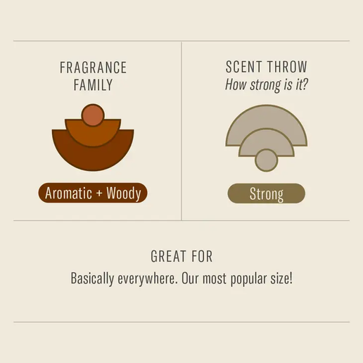 Golden Coast Soy Candle - 7.2 oz