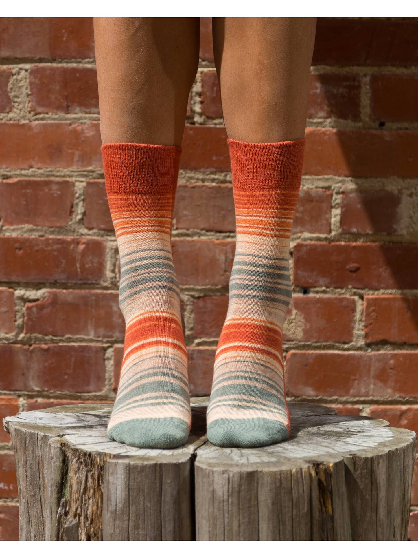 Rainbow Socks