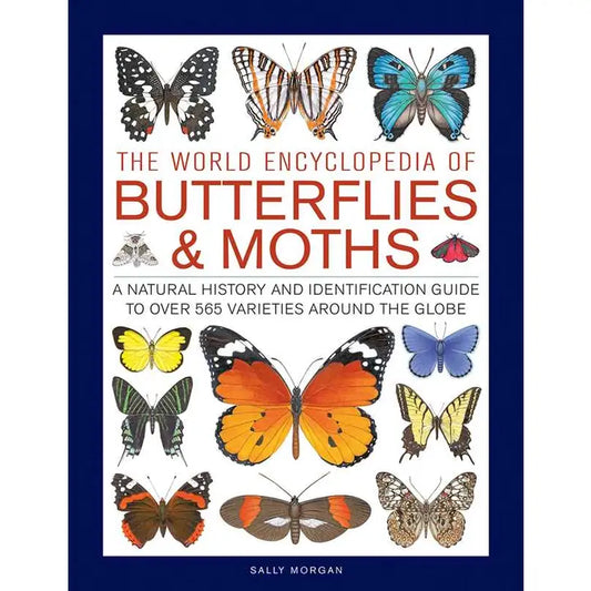 World Encyclopedia of Butterflies & Moths