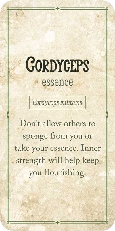 Mushroom Affirmations