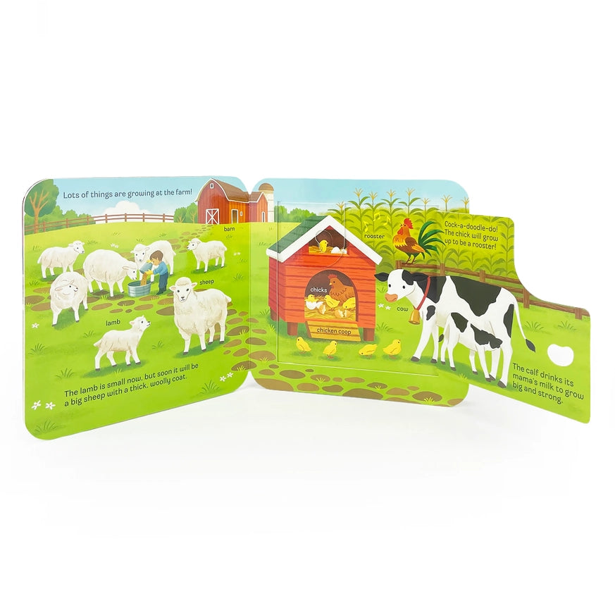 Peek-A-Flap Grow Board Book