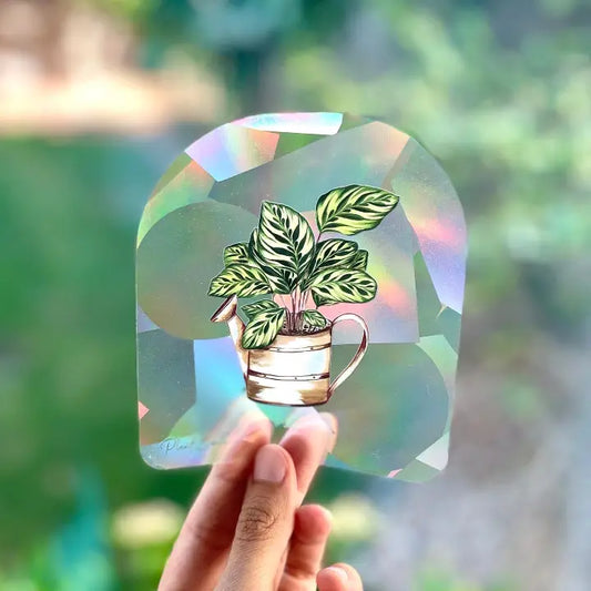 Calathea Rainbow Maker Suncatcher Window Decal