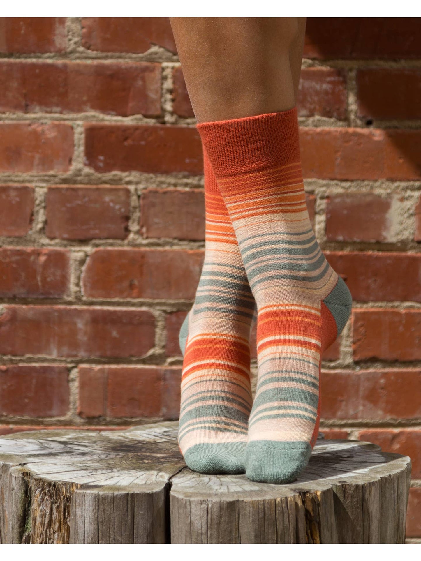 Rainbow Socks