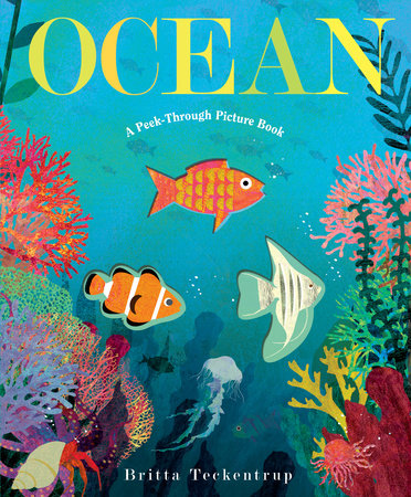 Ocean: A Peek-Through Board Book