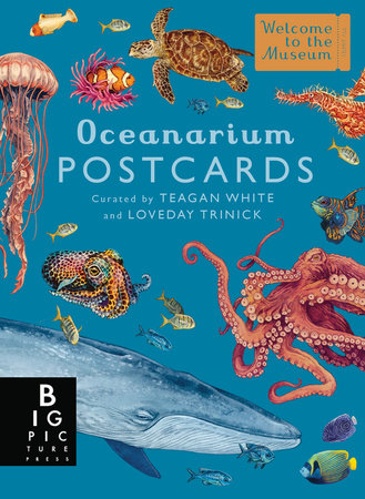 Oceanarium Postcard Set