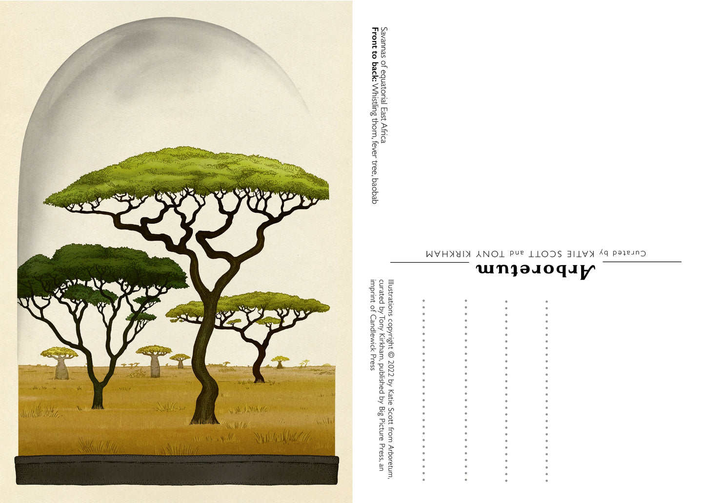 Arboretum Postcard Set