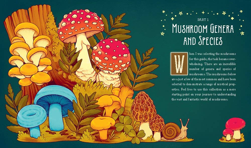 Mushroom Magick