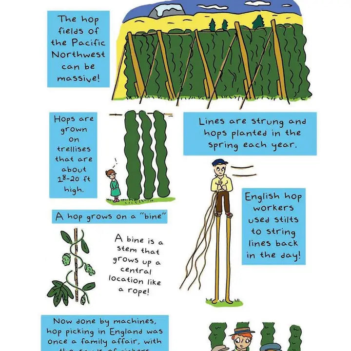Hooray For Craft Beer! An Illustrated Guide To Beer