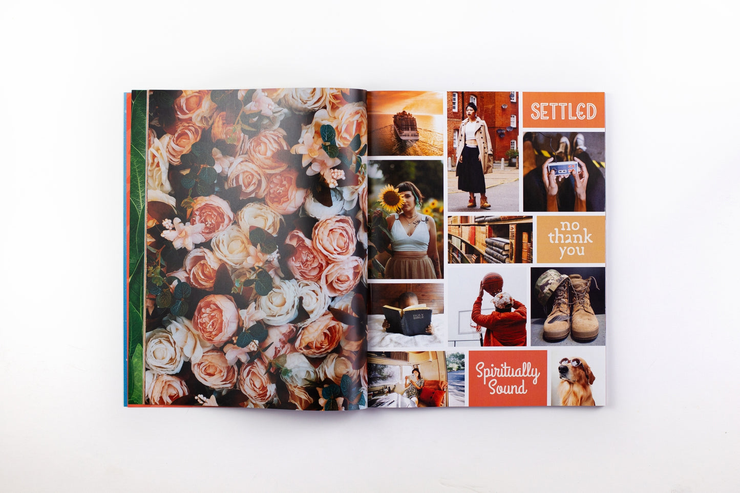 The Vision Board Book