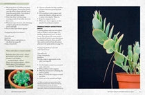 The Kew Gardener’s Guide to Growing House Plants