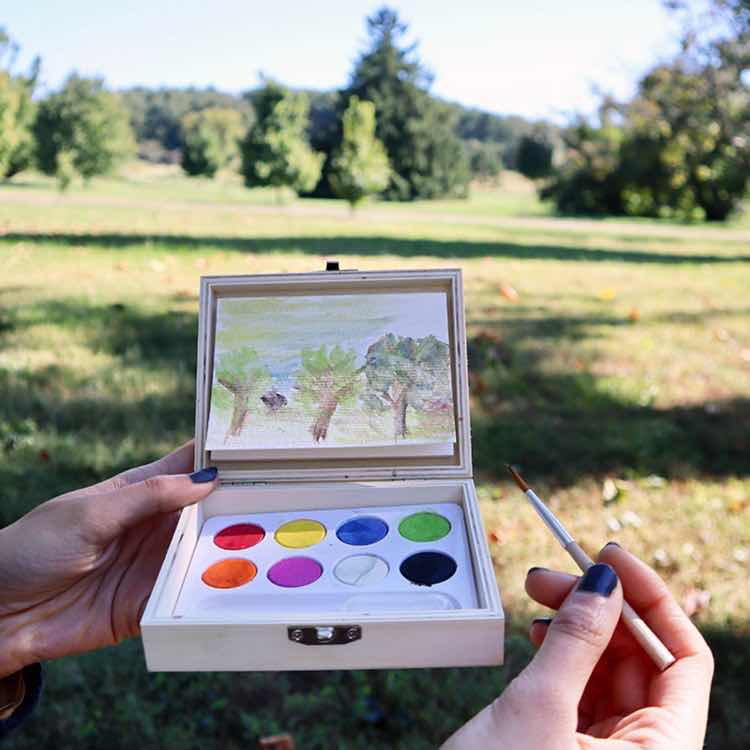 Huckleberry Pocket Landscape Paint Kit