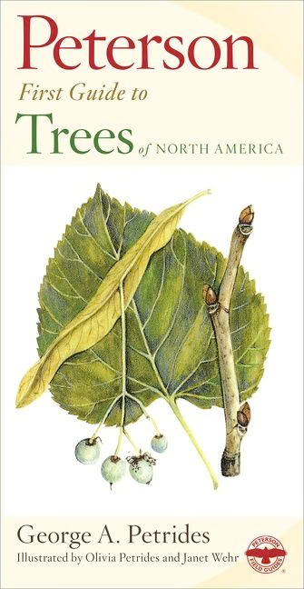 Peterson First Guide to Trees of North America
