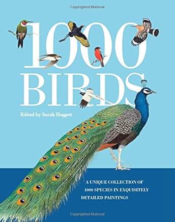 1000 Birds