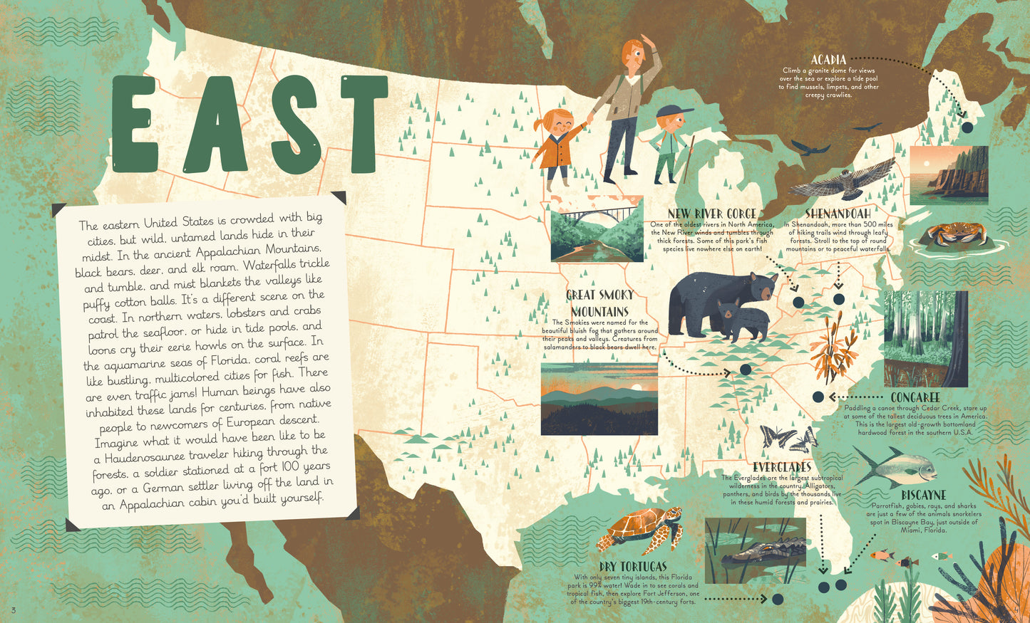 National Parks of the U.S.A.