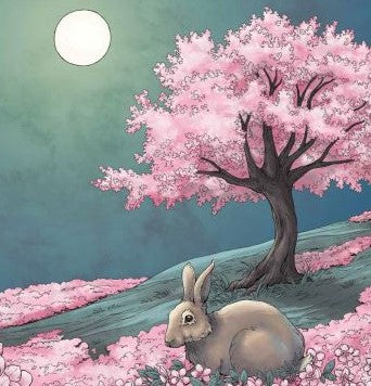 Full Moon Lore Hardcover Picture Book