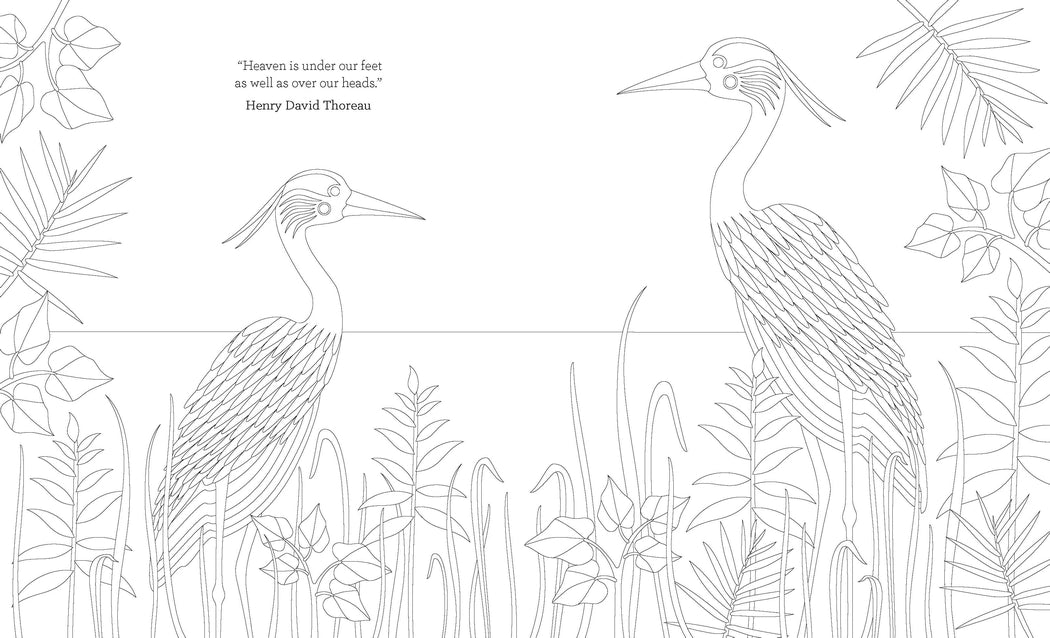 The Joy of Mindfulness Coloring Book