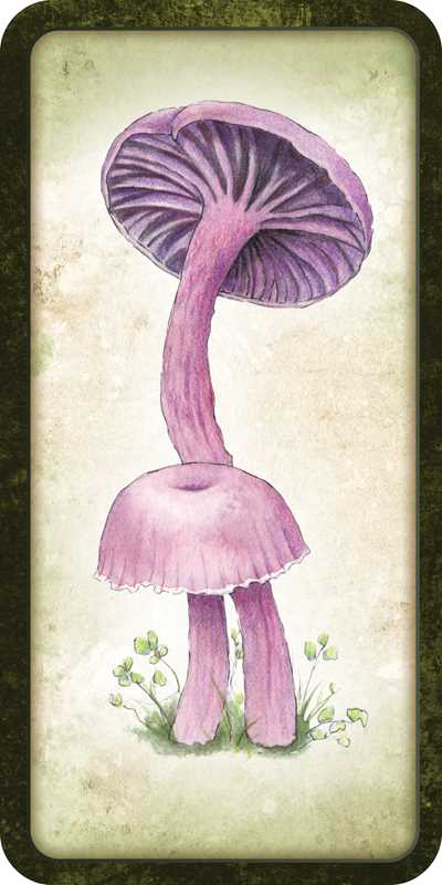 Mushroom Affirmations
