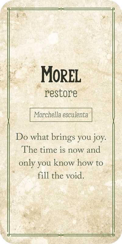 Mushroom Affirmations