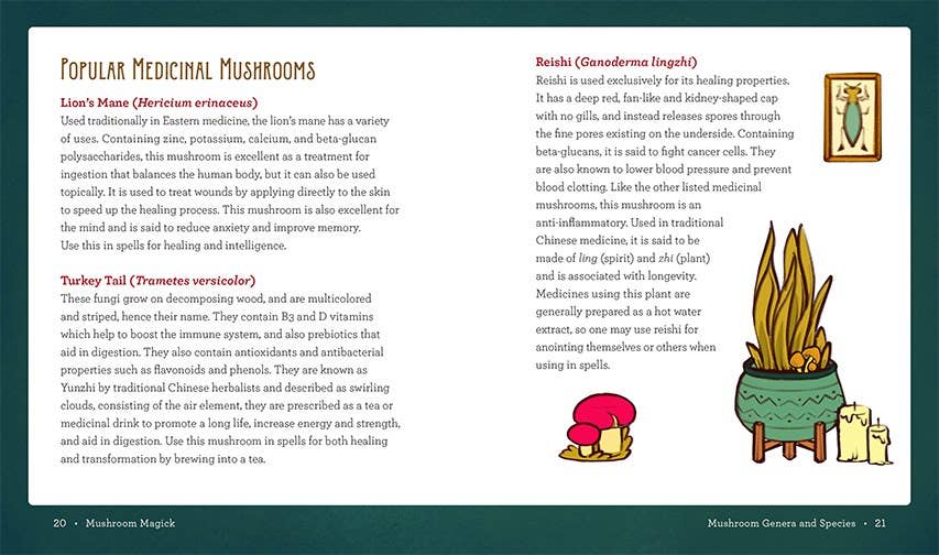 Mushroom Magick