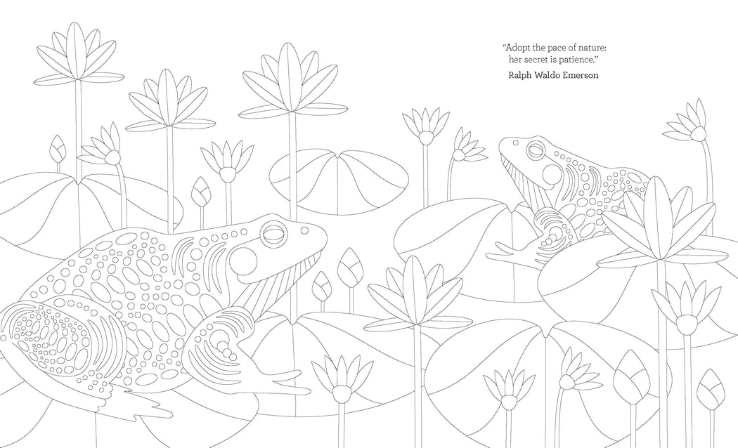 The Joy of Mindfulness Coloring Book