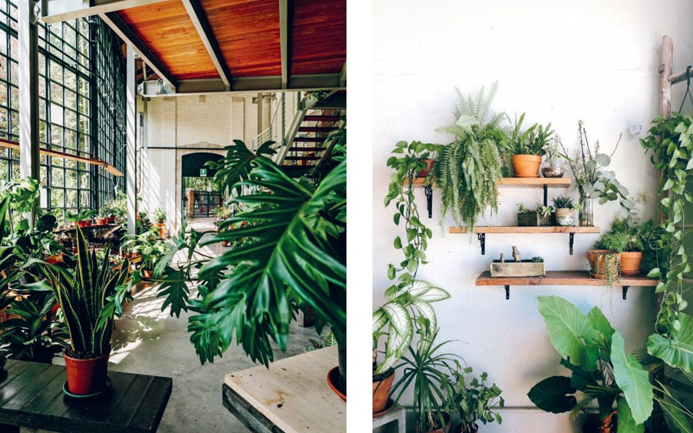 Plant House: Beautiful Spaces Inspired By Nature