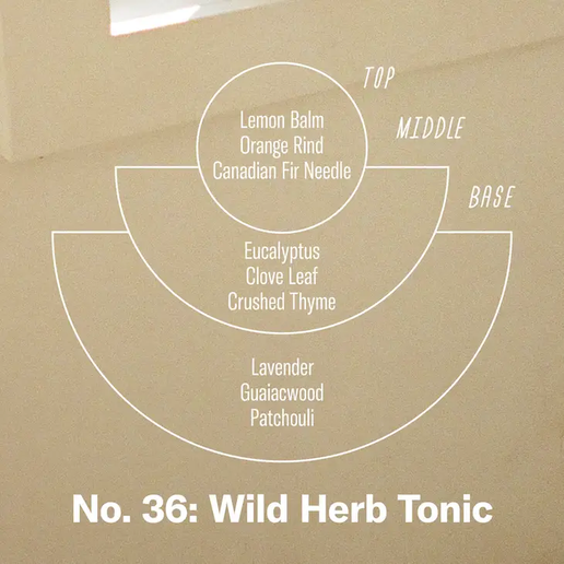 Wild Herb & Tonic Soy Candle - 7.2 oz